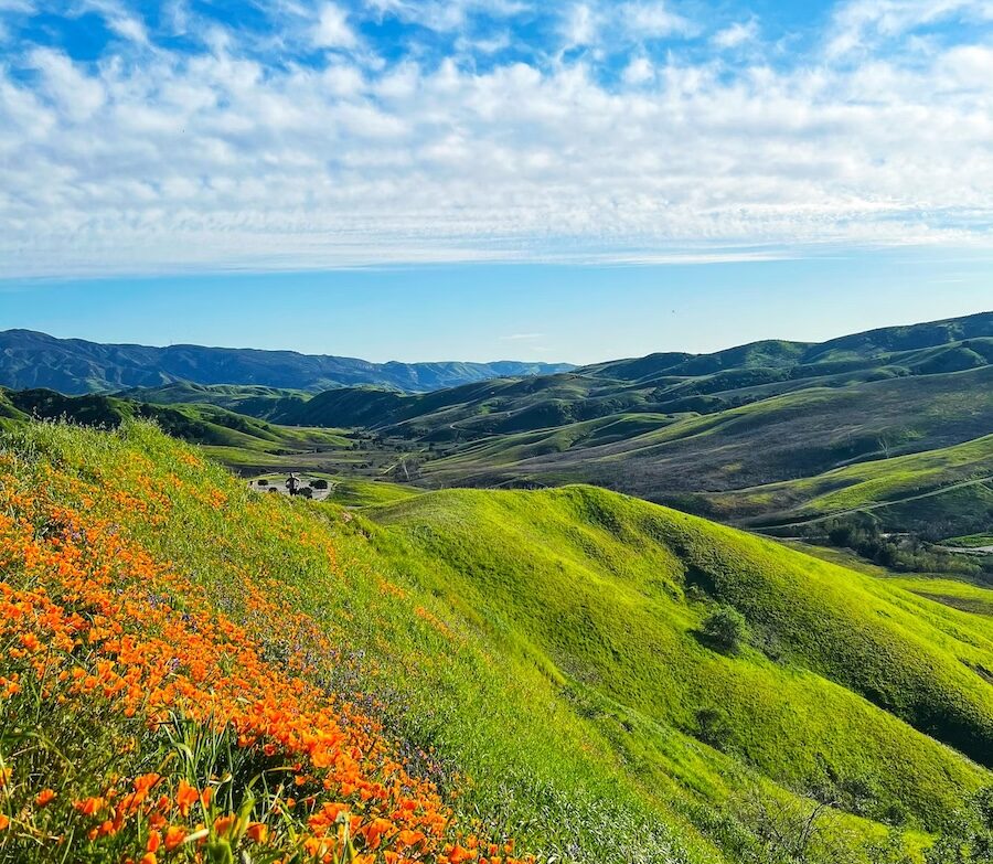 ENRLP Spring Newsletter