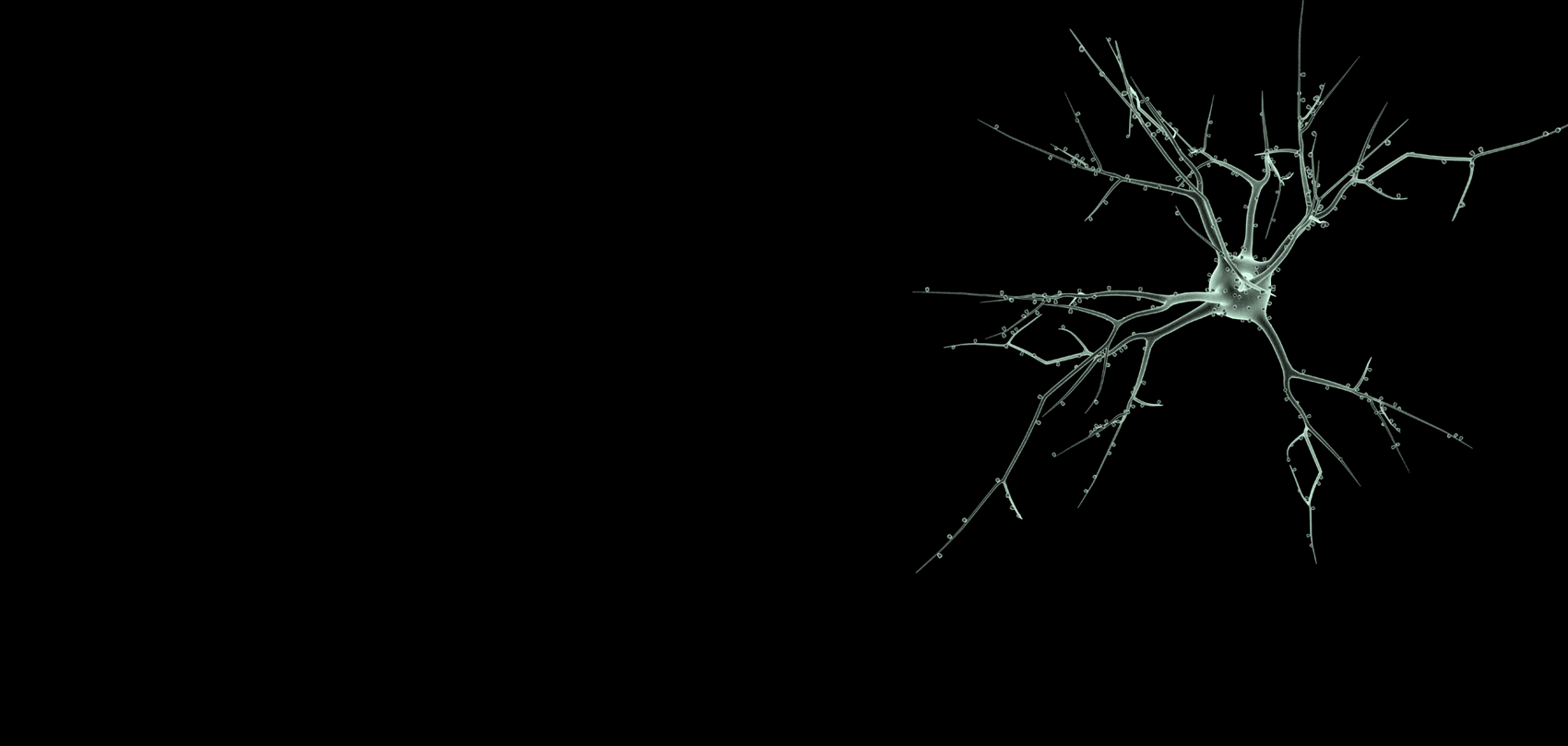 Stanford Program in Neuroscience and Society