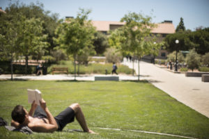 On the first day of summer Junior Chaz Curet takes a break to read in the sun. The English major found a comfortable spot in the SEQ to read from 'Our Story Begins,' a collection of short stories by Stanford Professor Tobias Wolff. Credit: Linda A. Cicero / Stanford News Service 