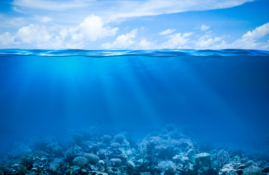 Ocean view; surface split by waterline with clouds and coral.
