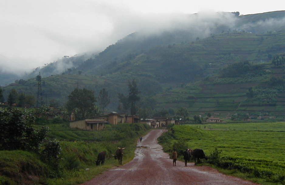 Lessons from Rwanda: Post-Genocide Law and Policy