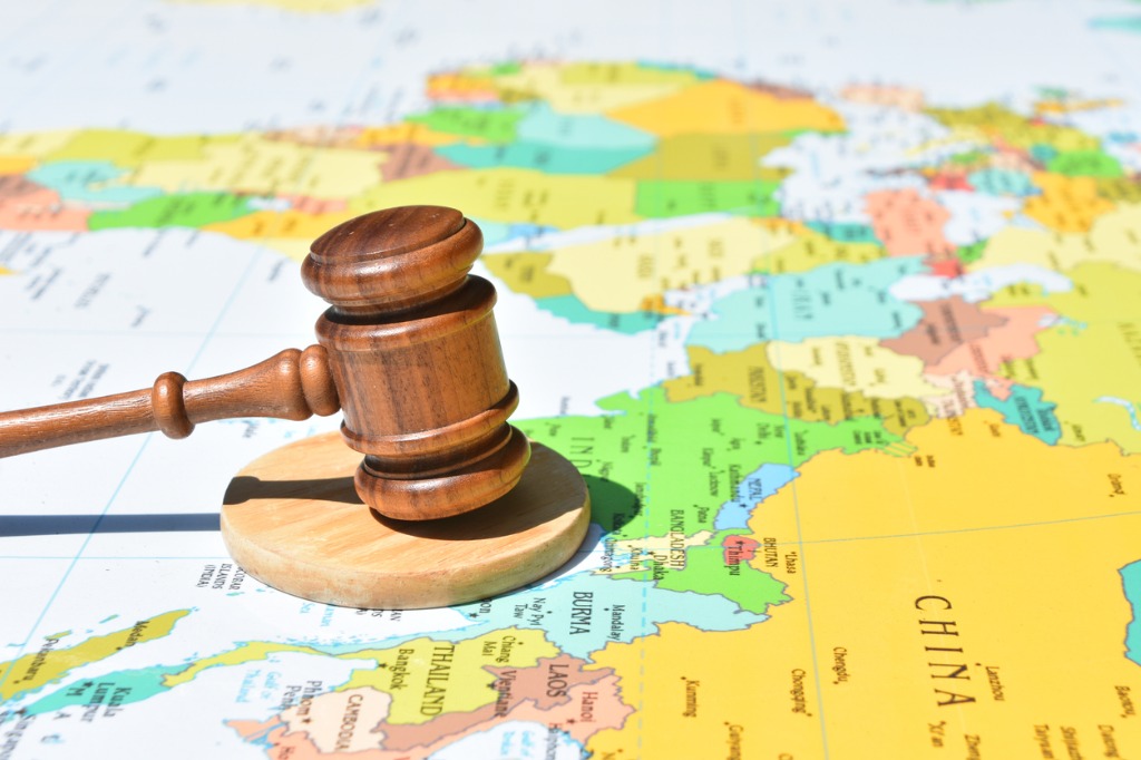Supporting INTERPOL's Efforts to Combat Transnational Crime (805Z)