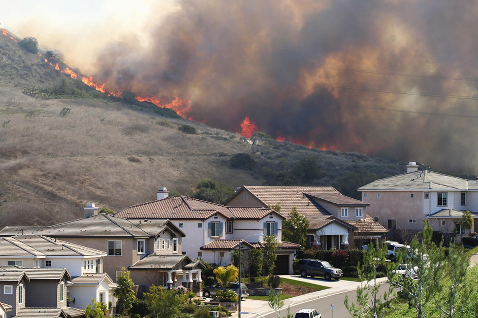 Living with Fires: Stanford’s Deborah Sivas on Mitigating Risks with Law and Environmental Policy 1