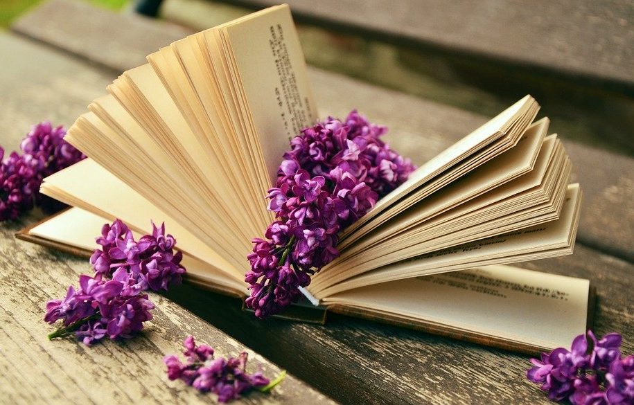 Image of Rest Bank Book Pages Lilac Book Old Relax Read