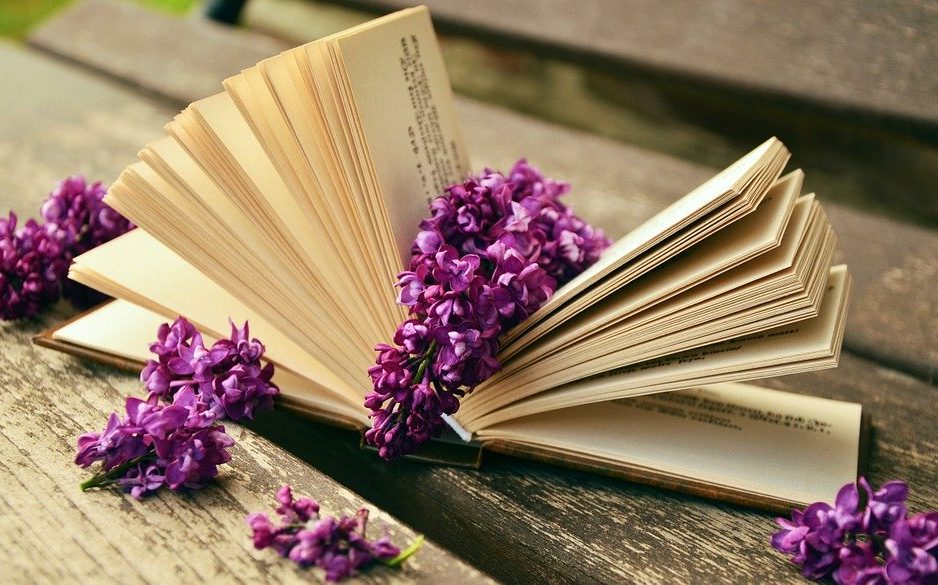 image of Rest Bank Book Pages Lilac Book Old Relax Read