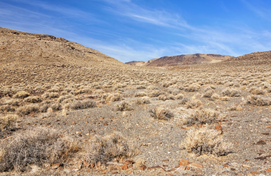 Arid desert landscape along US Route 95, Native American Paiute reservation, Fallon, Nevada, USA