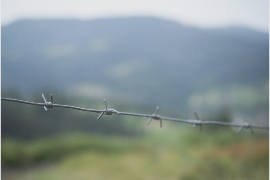 image of barb wire