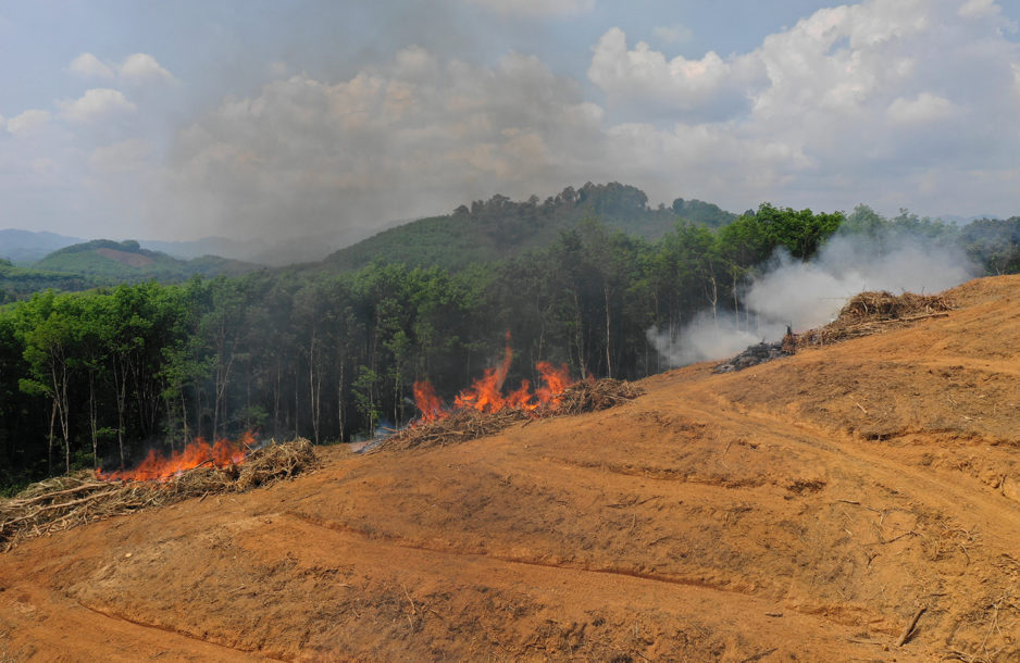 COP26: Promise and Limits of Vows to Rein in Methane and Protect Forests