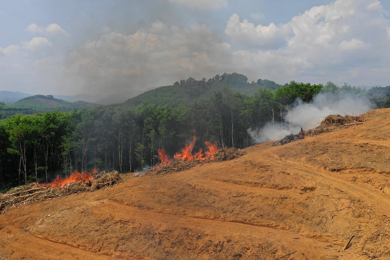 COP26: Promise and Limits of Vows to Rein in Methane and Protect Forests