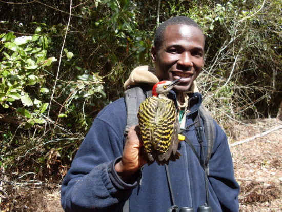 Haiti Biodiversity Conservationist Wins 2022 Stanford Bright Award