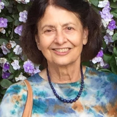 Essay: Lessons Learned from Grassroots Advocacy for Local Police Reform 1