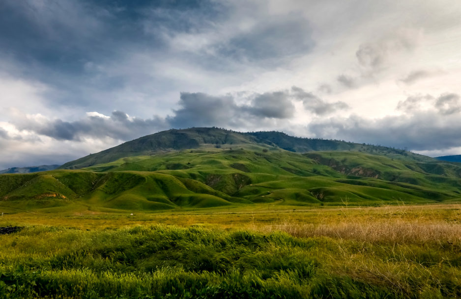 Tejon Ranch Litigation