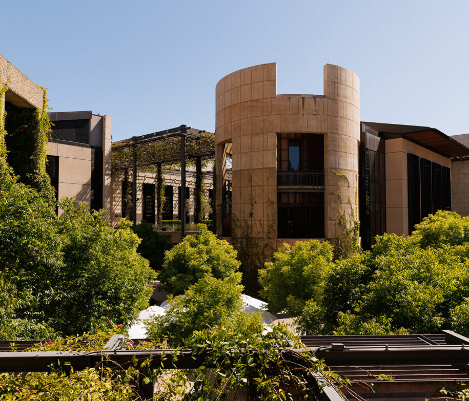 SLS Students and Faculty Honored with Awards, Fellowships 3