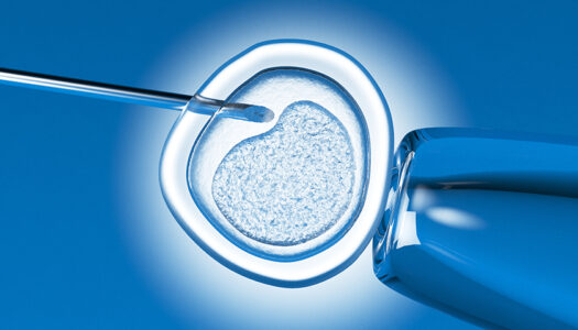 Are Frozen Embryos Children? A Discussion of the Alabama Decision on Embryo Rights and the Future of IVF Pregnancies in the U.S.
