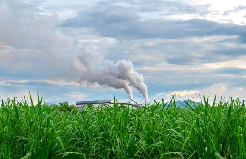 Reducing GHG Emissions in the Food Industry