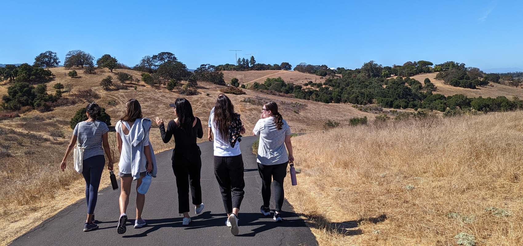 The Student Experience 82