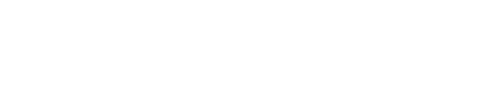 Dress Codes How the Laws of Fashion Made History