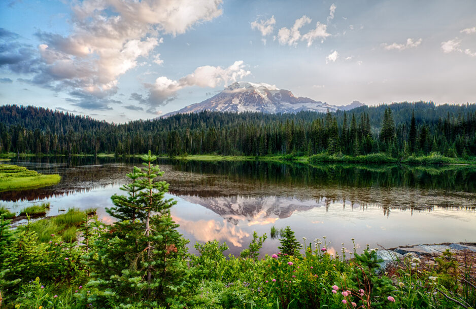 Mt. Rainier and Reflection Lake at sunrise and wildflowers blooming