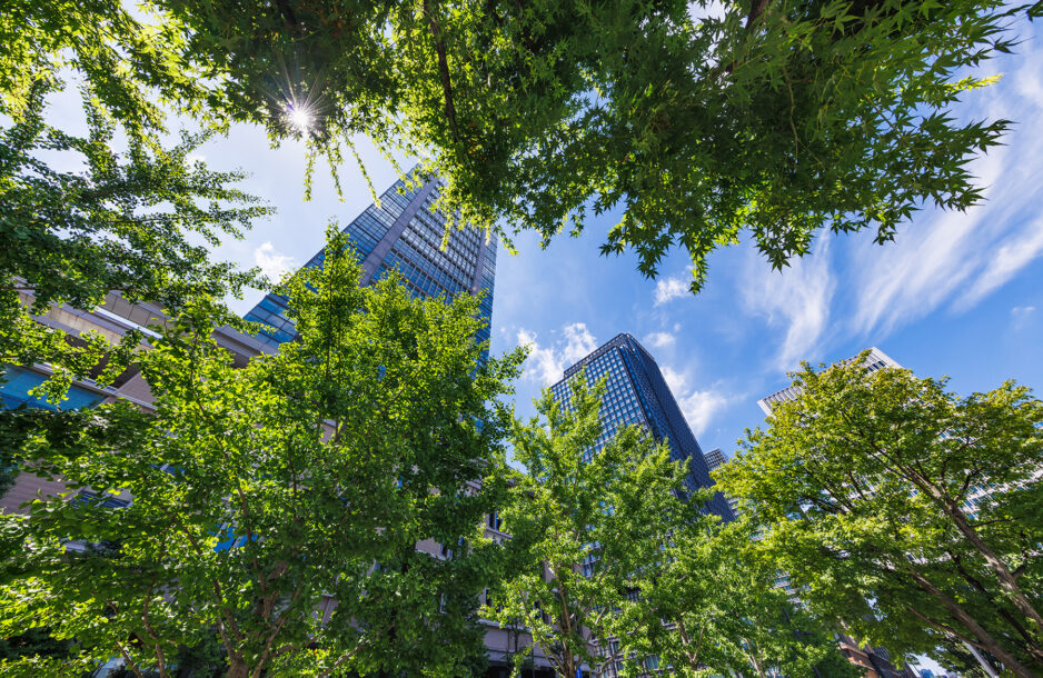 Upward view of blue sky; skyscrapers peaking out behind trees.