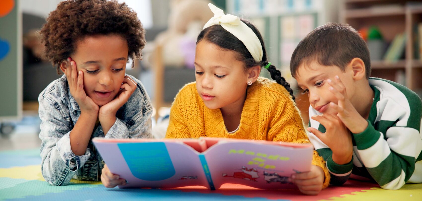 Immigration Status and Access to K-12 Education (810A)