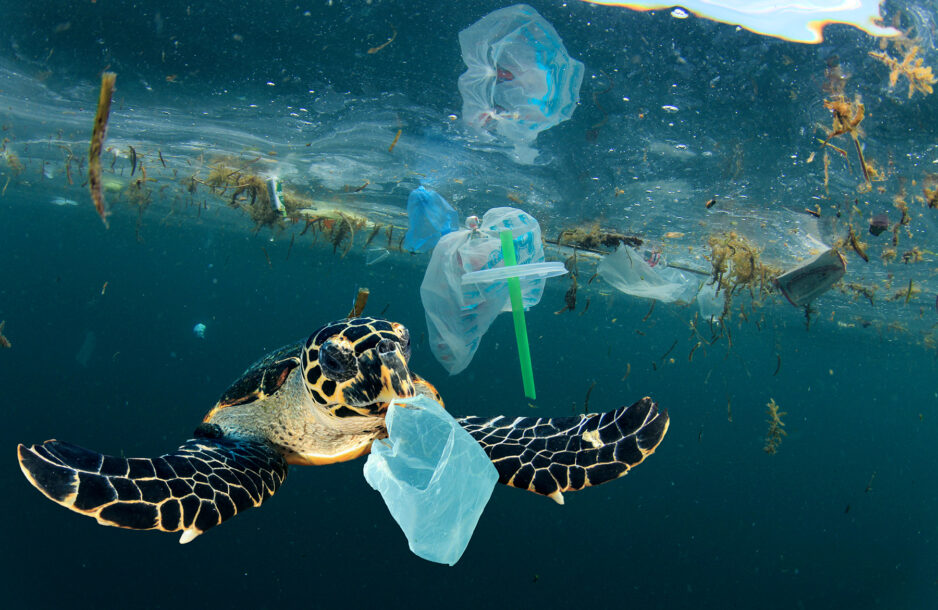 Sea turtle and plastic waste in the ocean.