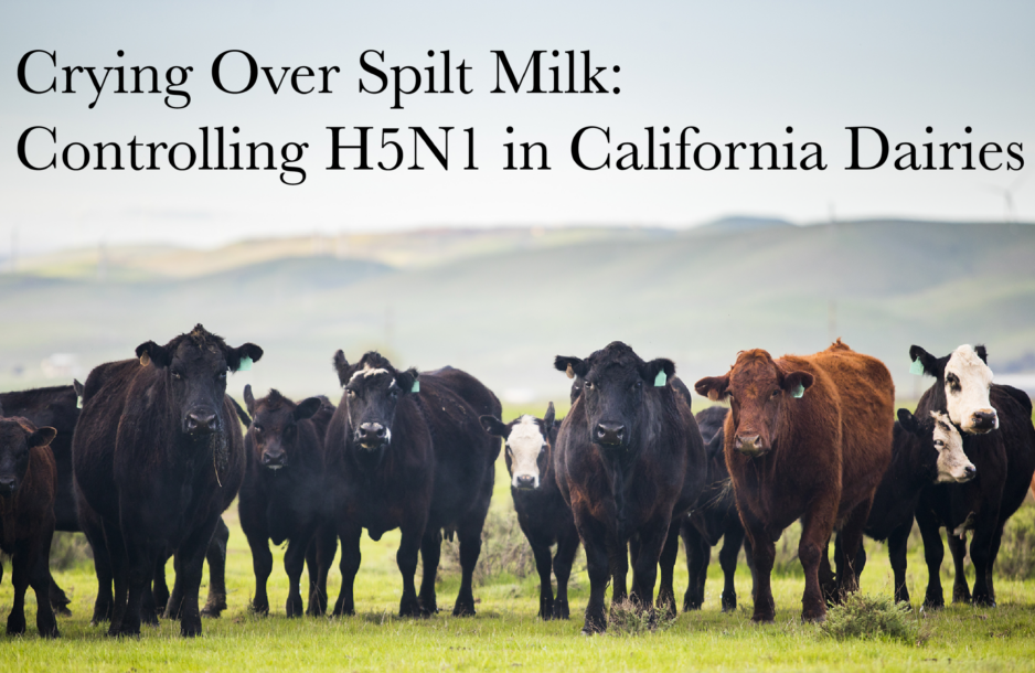 Report Cover: Crying Over Spilt Milk: Controlling H5N1 in California Dairies (background image - landscape with cows).