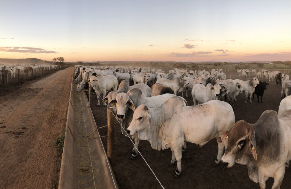 Sustainable and Humane Food Systems