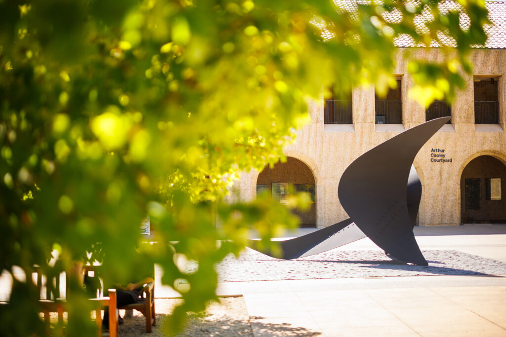 SLS Students and Faculty Honored with Awards, Fellowships 4