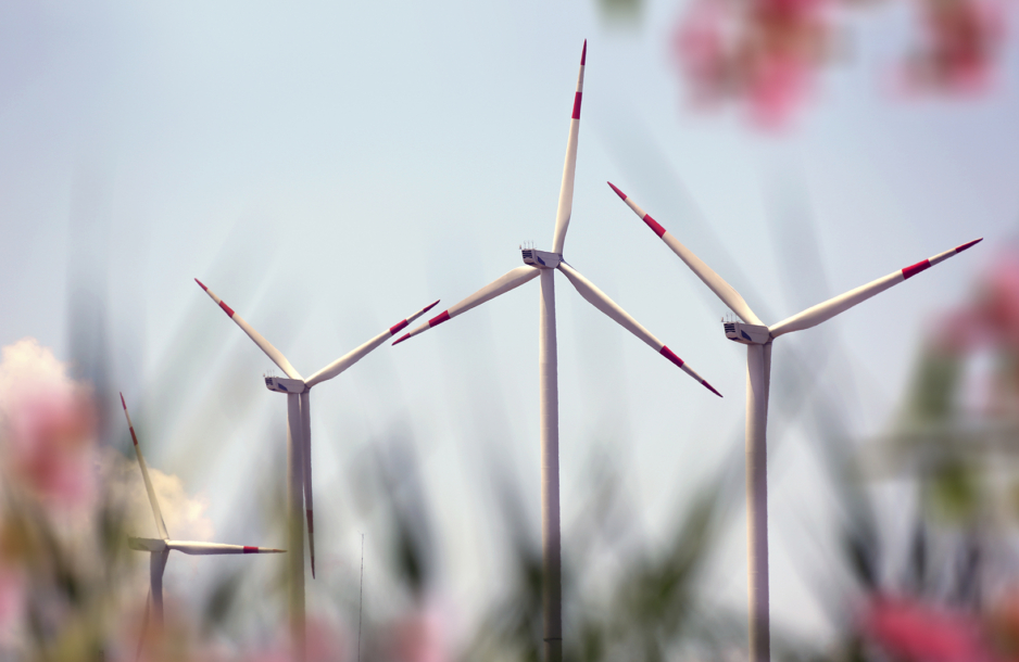 Photograph of wind turbines with blurred flowers in the foreground.